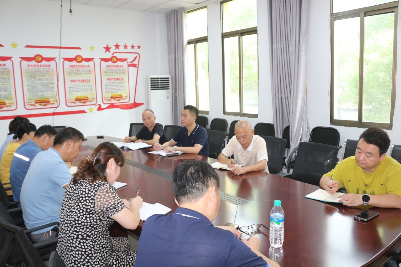 388vip太阳集团官网集团召开基层党建工作交流座谈会